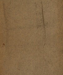 This discolored paper sheet is dated 1505 from America.jpg, with grungy dull brown and vintage lodestar colours. Features a grainy aged paper canvas and is a blank image.