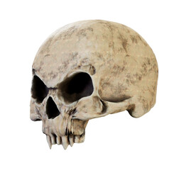Obraz premium The vampire skull isolated 3d render