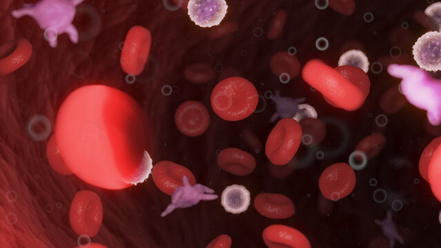3d rendered medical illustration of circulating blood cells
