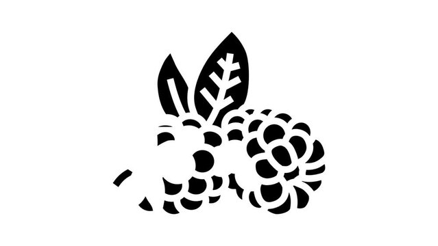ripe blackberry leaf glyph icon animation