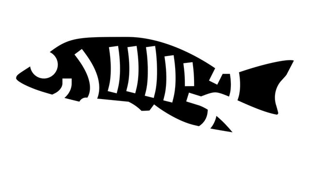 african cichlids glyph icon animation