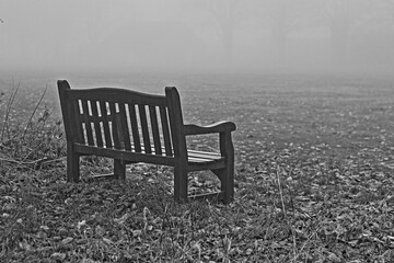 Loneliness Is A Empty Park Bench On A Foggy Morning