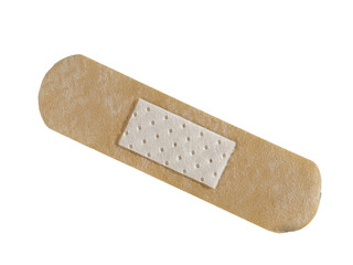 the plaster