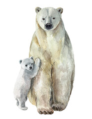 Two polar bears, mom and baby.