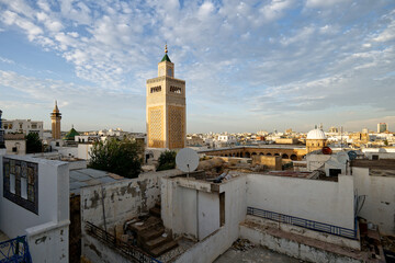 View of the Old Medina of Tunis, Unesco. Around 700 monuments, including palaces, mosques, mausoleums, madrasas and fountains, testify to this remarkable historic city.