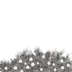 Dry grass and white flower element. christmas decoration