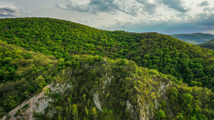 landscape with green grass and sky