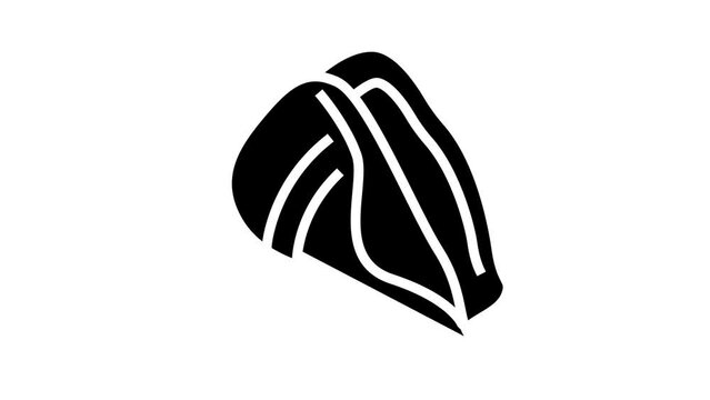 strombus sea shell beach glyph icon animation