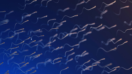 3d rendered medical illustration of sperm motility