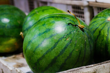 Watermelons Fruit in the basket