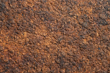 Burned dark cork wood texture, soft focus