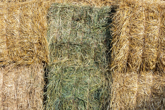 Six large square bales of green hay and golden straw stacked in a group. 