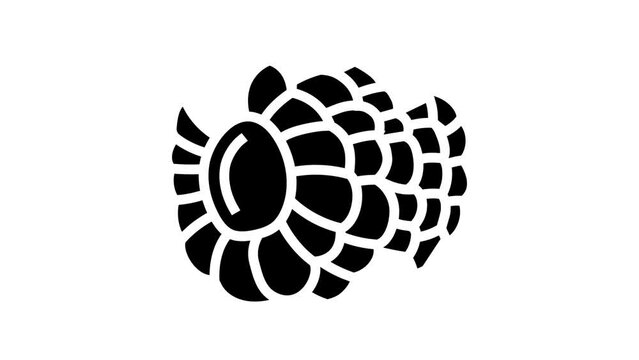ripe juicy raspberry fruit glyph icon animation