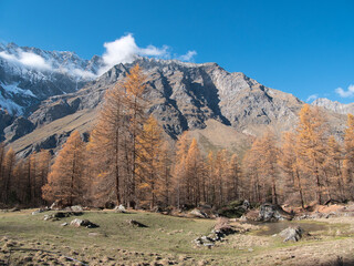 In autumn along Pellaud lakes in the municipality of Rhêmes-Notre-Dame, in the Aosta Valley, Italy.