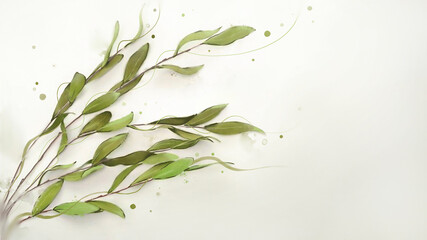 drawing of a branch with olive leaves and watercolor splashes on a white background