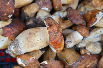 Porcini mushrooms for sale at the market in Cetara, Italy