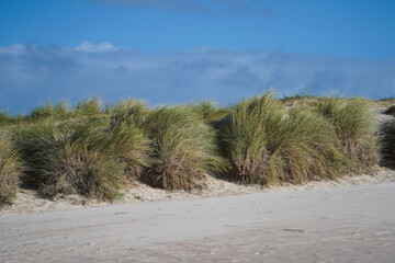 dunes in the sand