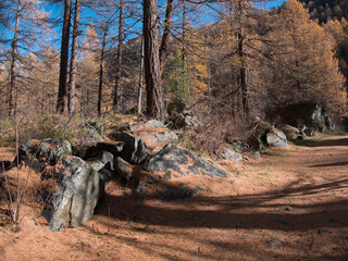 In the autumn forest by the Pellaud lakes in the municipality of Rh&ecirc;mes-Notre-Dame, in the Aosta Valley, Italy.