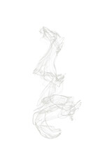 Transparent flowing smoke or steam on a transparent background. PNG