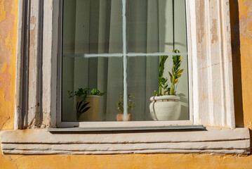 Part of the decoration of the facade of the building and the material from which it is built;  
a yellow wall with an old window in which there is a flower pot