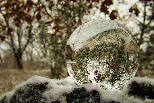 Lensball - Natur - Kristallkugel - Transparenz - Zerbrechlich - Ecology - Crystal Glass Sphere - Bioeconomy - Creative - Reflection - High quality photo with Copy Space	
