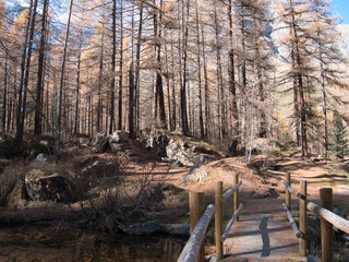 Pellaud lakes during autumn. Municipality of Rhêmes-Notre-Dame, in the Aosta Valley, Italy