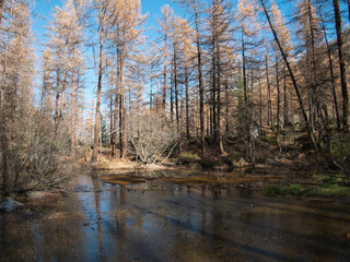 Pellaud lakes during autumn. Municipality of Rhêmes-Notre-Dame, in the Aosta Valley, Italy