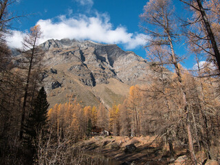 In the autumn forest by the Pellaud lakes in the municipality of Rh&ecirc;mes-Notre-Dame, in the Aosta Valley, Italy.