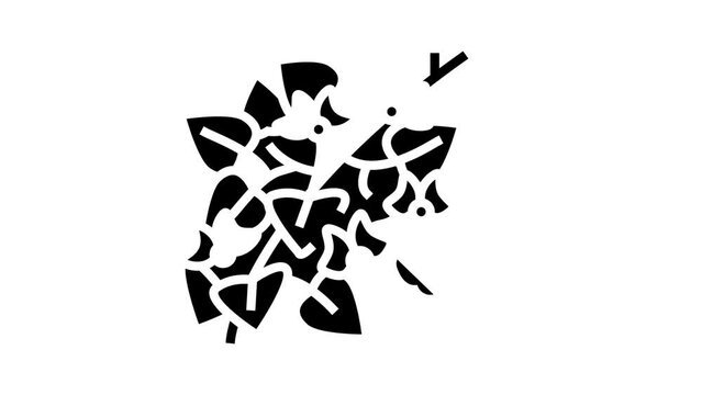 hyacinth bean glyph icon animation