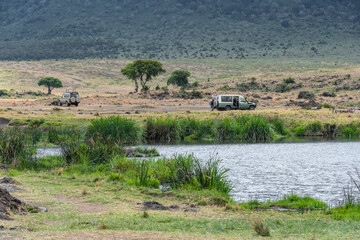 Safari in Ngorongoro Crater. Tanzania, Africa 