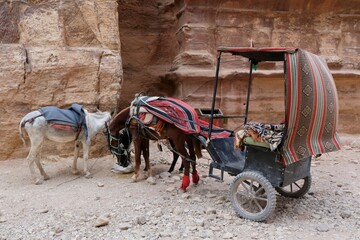 Cart with horse and donkey are standing by rock wall next to Treasury in Petra, Jordan. Petra is...