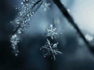Beautiful transparent falling snowflake on a blue sky background