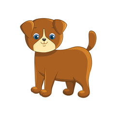 Obraz premium Cute little brown puppy on a white background.