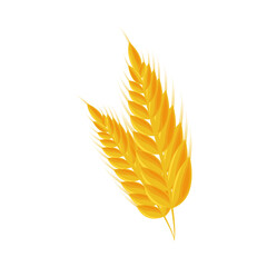 wheat spike icon