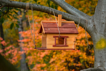 Feeder in the form of a house in the autumn park