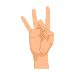 Hand gesture. Vector illustration of human palm showing signs. Cartoon peace symbol, thumbs up, ok positions isolated on white