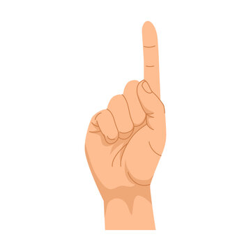 Hand gesture number 1, thumbs up. Vector illustration of human palm showing numbers, gesturing signs. Cartoon thumbs up, isolated on white