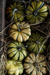 rustic photos of striped pumpkins in a wooden box