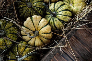 rustic photos of striped pumpkins in a wooden box