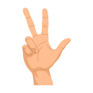 Hand gestures peace symbol. Vector illustration of human palm showing numbers, gesturing signs. Cartoon thumbs up, ok positions isolated on white