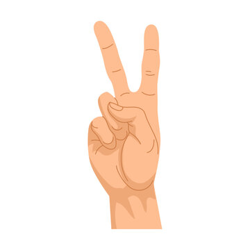 Hand gestures number 2, two fingers up. Vector illustration of human palm showing numbers, gesturing signs. Cartoon peace symbol isolated on white