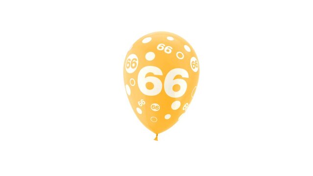 66 Years Old. Birthday Celebration Balloon. Loop Animation. With Green Screen and Alpha Matte Channel.