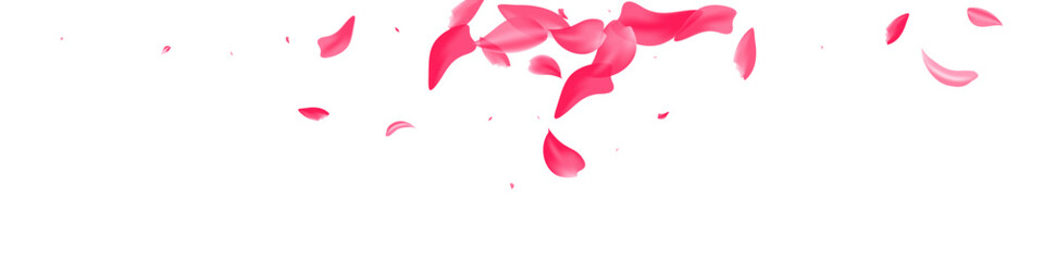 Red Rose Flying Vector White Panoramic