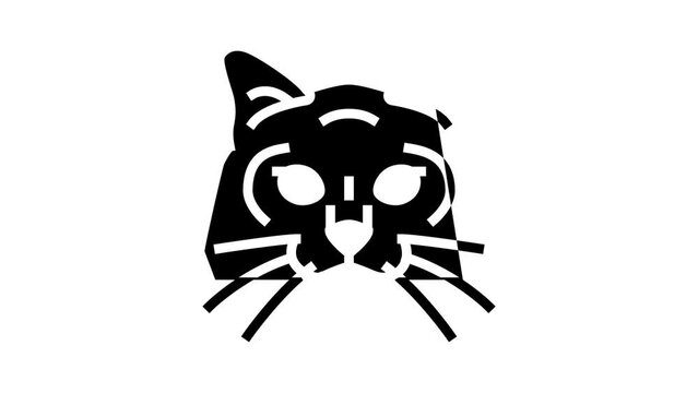 birman cat cute pet glyph icon animation