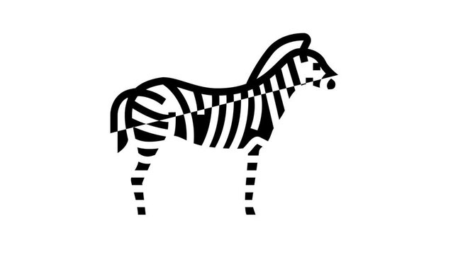 zebra animal in zoo line icon animation