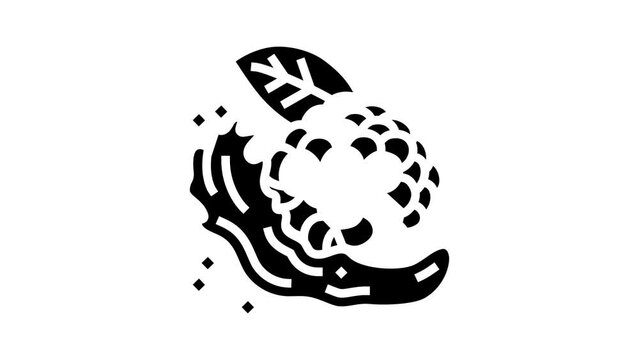 splash juice blackberry glyph icon animation