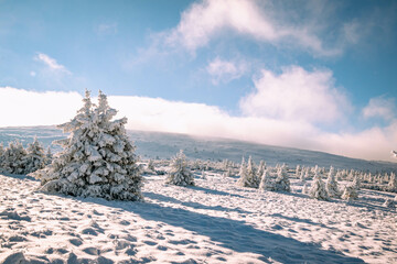 Beautiful scenery in the high mountains. First snow just dropped. Cloudy mysterious winter background. Cold weather.