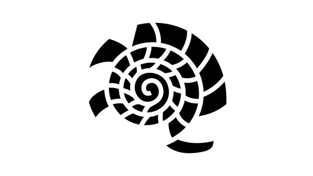 spiral seashell beach glyph icon animation