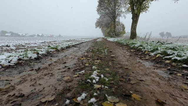snow covered fields and muddy dirt road in winter