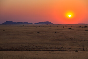 Fototapeta na wymiar Sunset over the savannah. Beautiful landscape. Solitaire, Namibia.